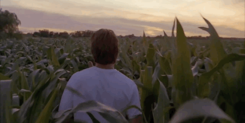 Field of Dreams Field of Dreams