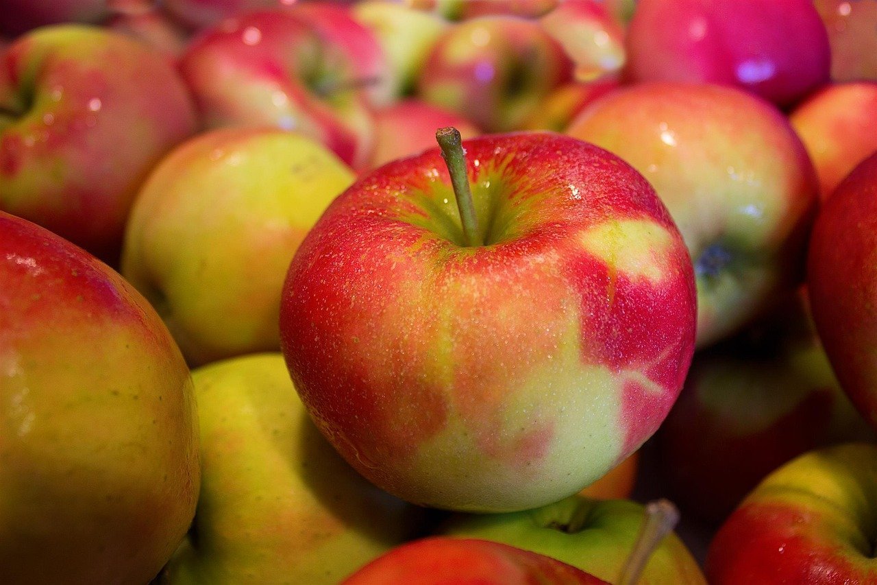 apples apples