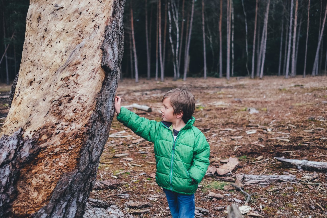 Boy playing in the woods Boy playing in the woods
