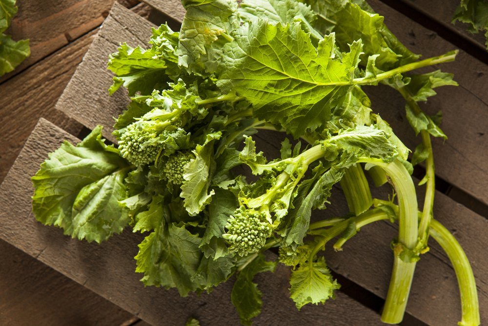 broccoli-rabe-rapini broccoli-rabe-rapini