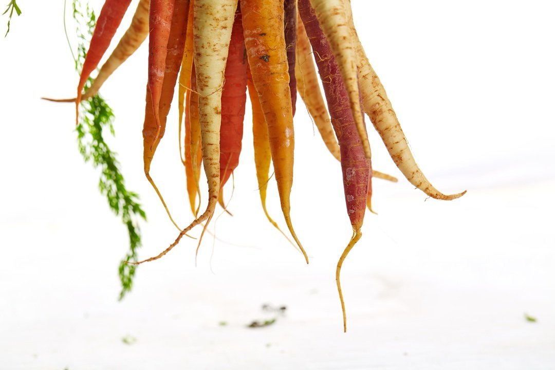 Carrots a healthy vegetable with great benefits Carrots a healthy vegetable with great benefits