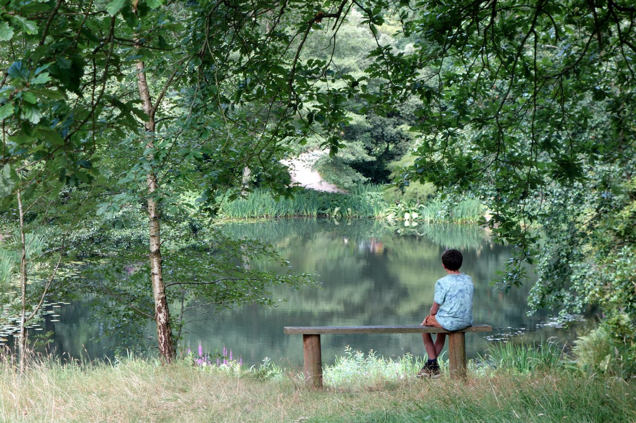 teen sitting alone on a bench teen sitting alone on a bench