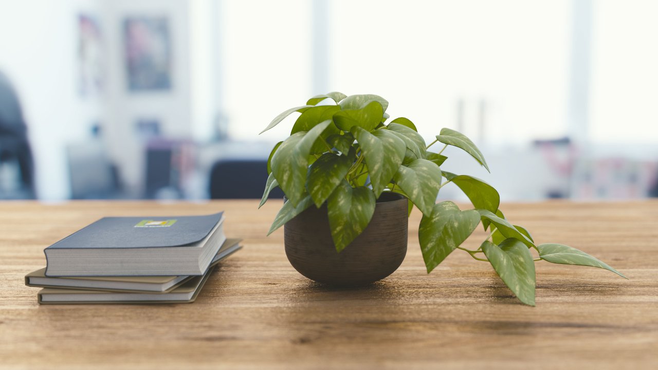 green plant and books on office desk green plant and books on office desk