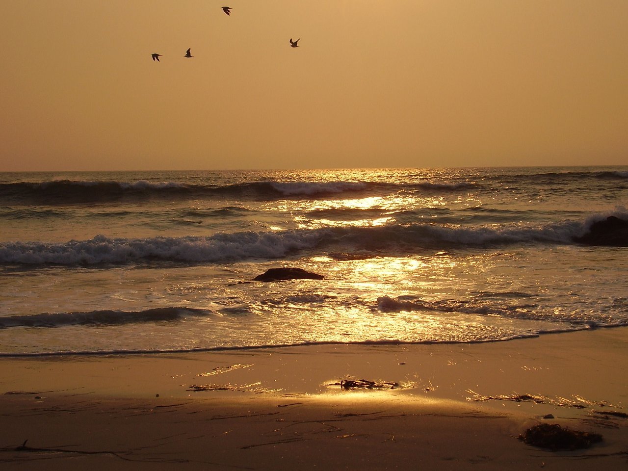 World's Longest Beaches Quietly World's Longest Beaches Quietly