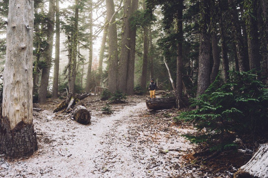 Man alone in forest Man alone in forest