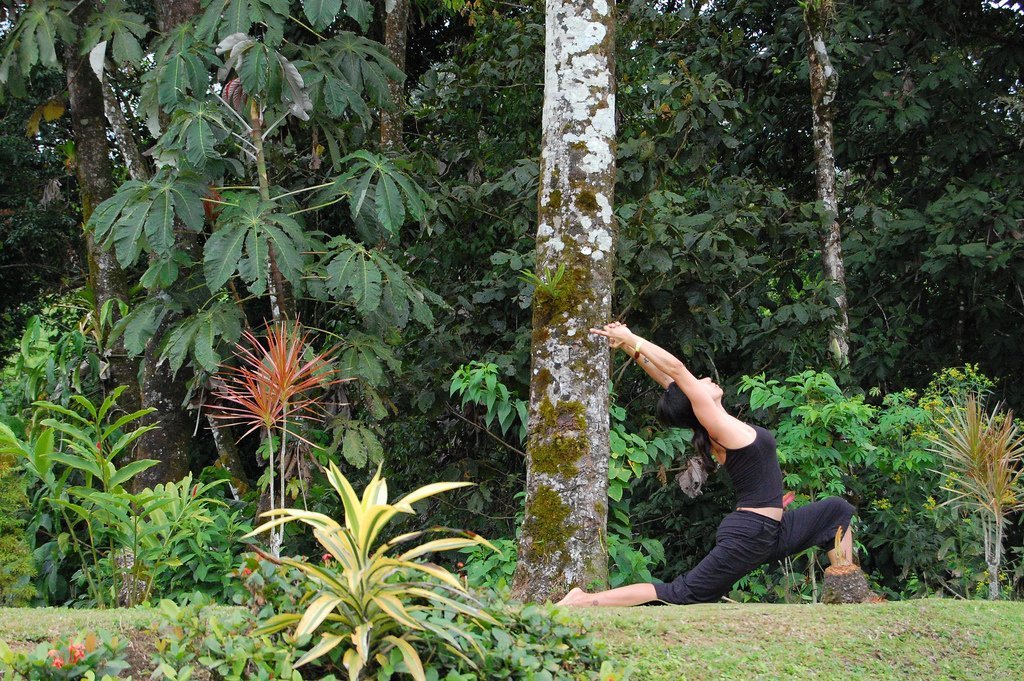 Nature and Stress Nature and Stress