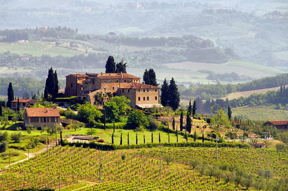 Vineyard in Tuscany, Italy Vineyard in Tuscany, Italy