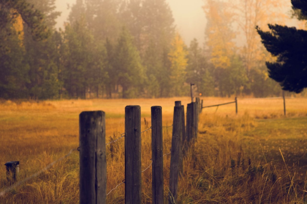 Fence in a beautiful meadow Fence in a beautiful meadow