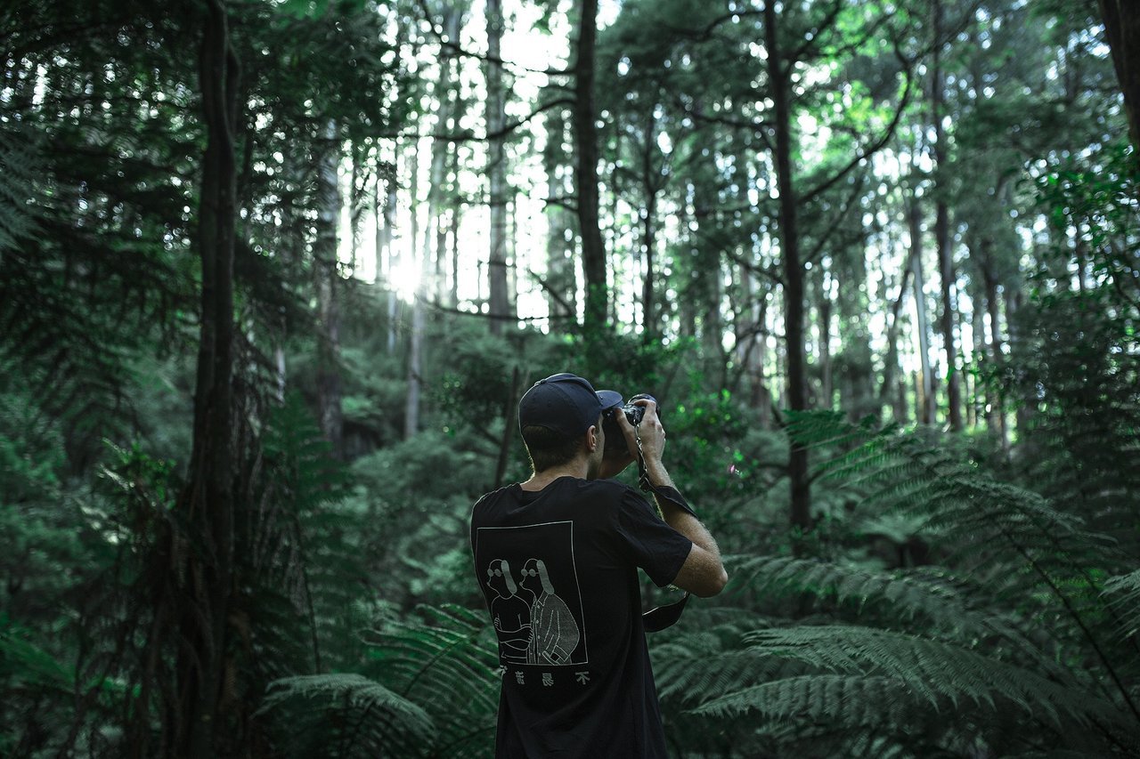 Walk in woods with teen Walk in woods with teen